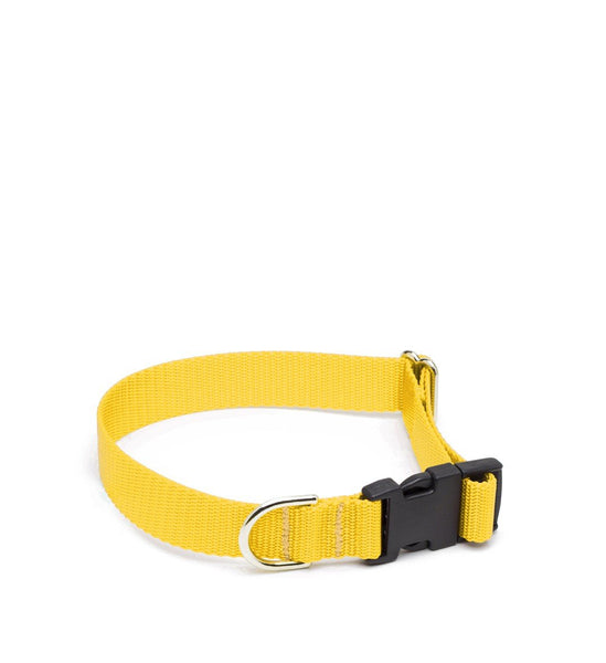 Nylon Dog Collar, Yellow